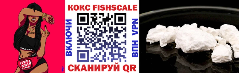Cocaine Fish Scale  где можно купить   ОМГ ОМГ ССЫЛКА  Сызрань 