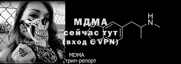 гидра Гусев