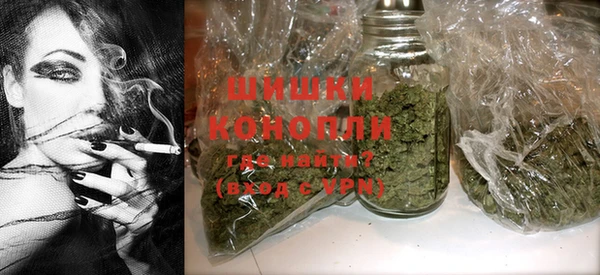 гидра Гусев