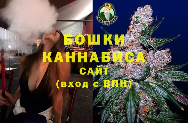 гидра Гусев