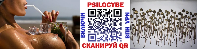 Псилоцибиновые грибы прущие грибы  Сызрань 